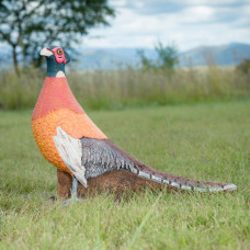 Wildcrete Pheasant